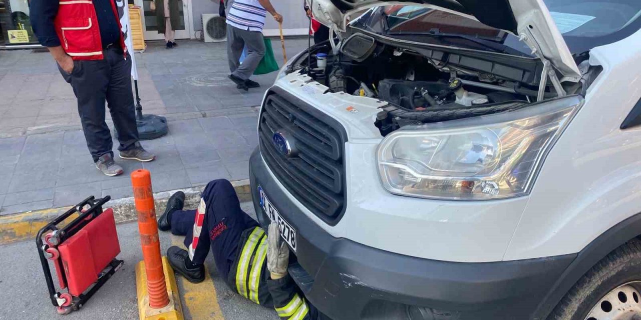 Aracın motoruna sıkışan yavru kediyi itfaiye kurtardı