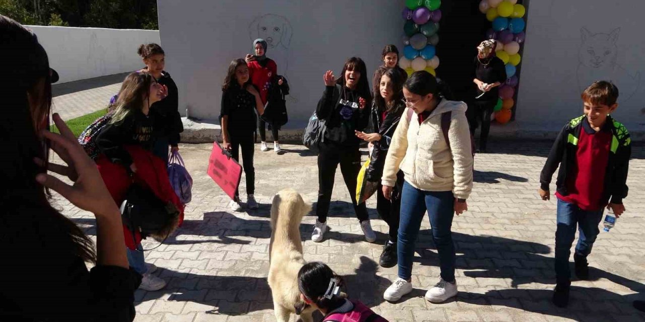 Gönüllü veterinerler, öğrencilere hayvan sevgisini aşıladılar