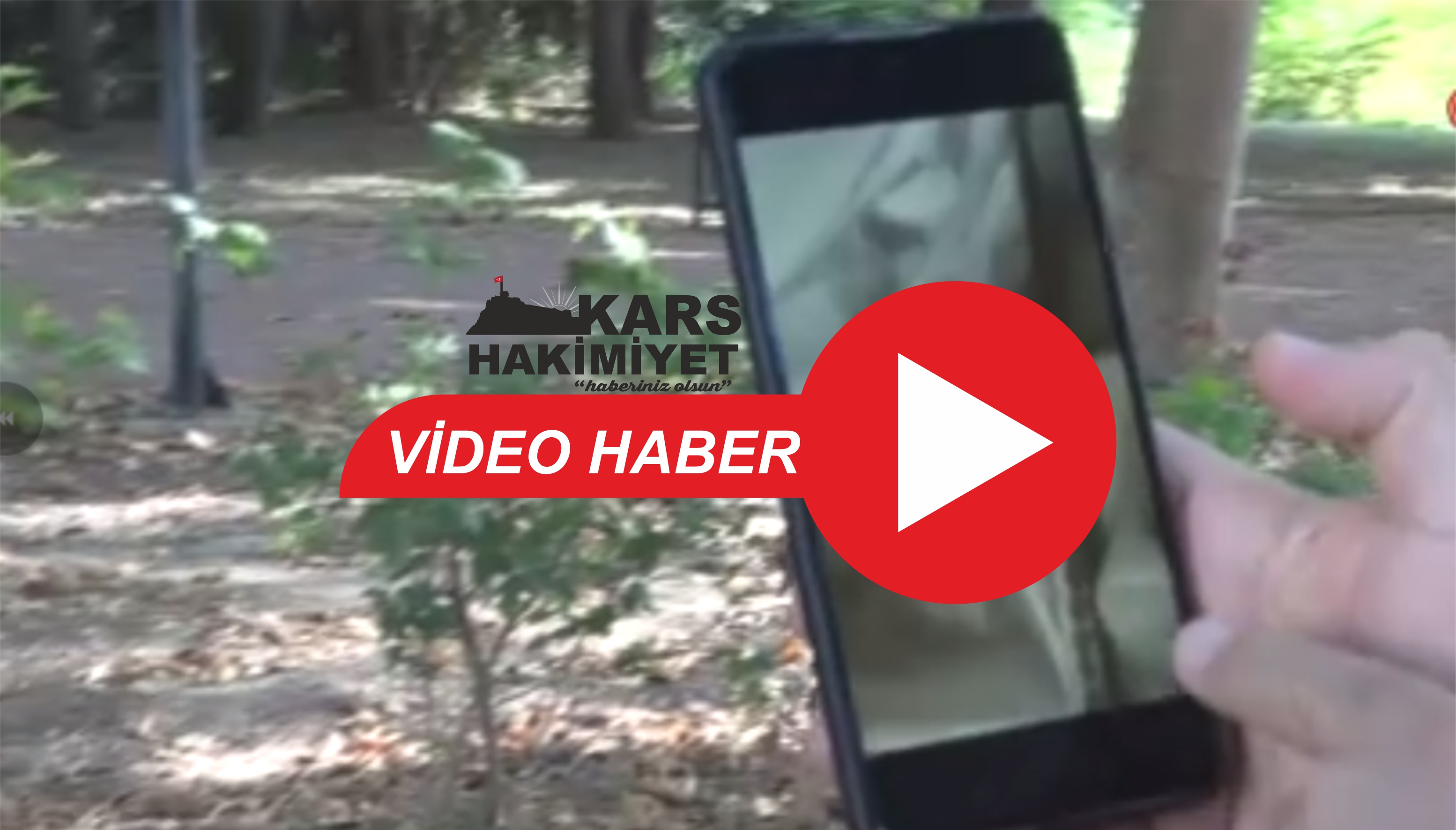 Geceleri saklanıyorlar, insanın uyumasını bekleyip kanını emiyorlar