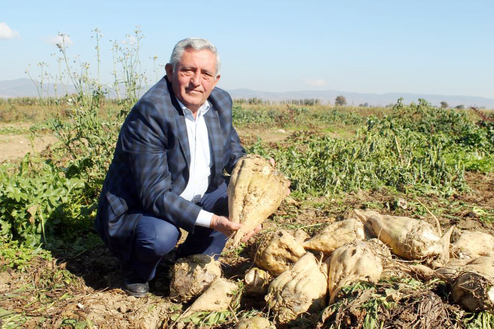 Çiftçi pancar şekeri fiyatından memnun değil