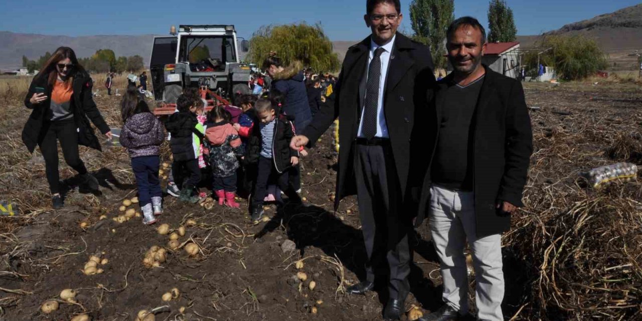 Ticaret Borsası Başkanı Oral, öğrenciler ile birlikte patates hasadına katıldı