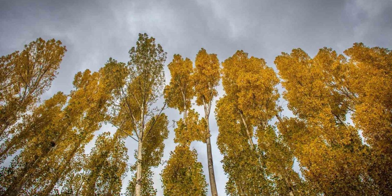 Erzincan’da hazan mevsimi güzelliği