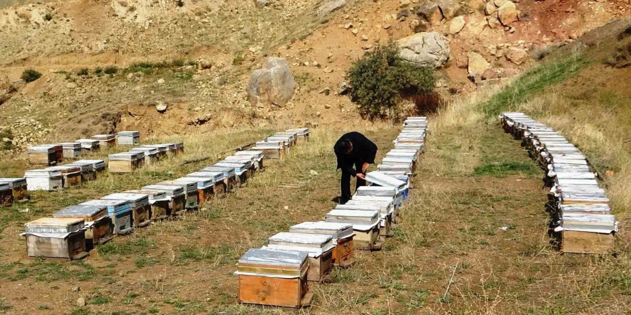 Van Arıcılar Birliği Yönetim Kurulu Üyesi Tandoğan: "Van balı, kesinlikle hak ettiği yerde değildir"