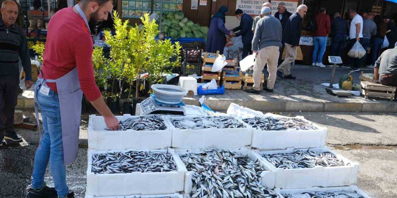 Erzincan’da tezgahlarda hamsi bolluğu