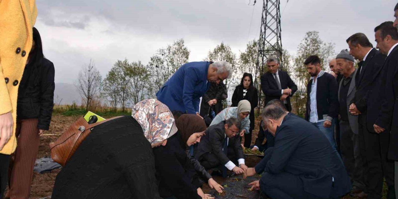 Yüksekovalı kadınlar tarım projeleriyle köylere hayat verecek