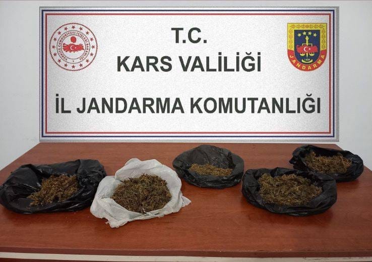 Kars’ta 700 gram bonzai ele geçirildi