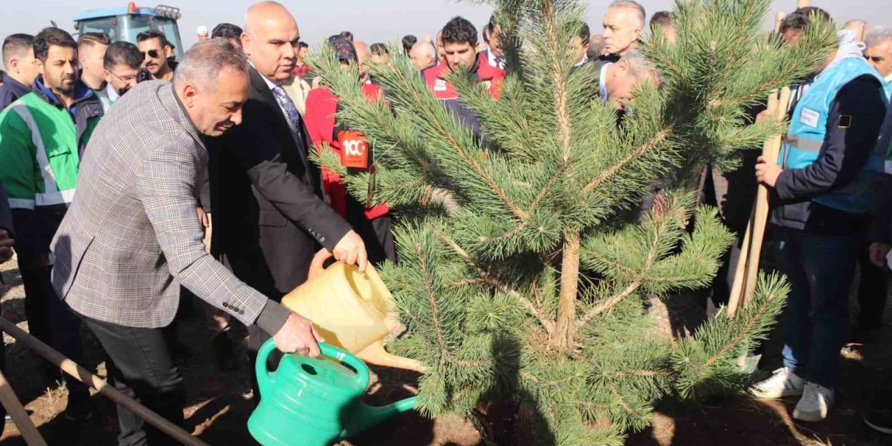 Ağrı’da fidanlar toprakla buluştu