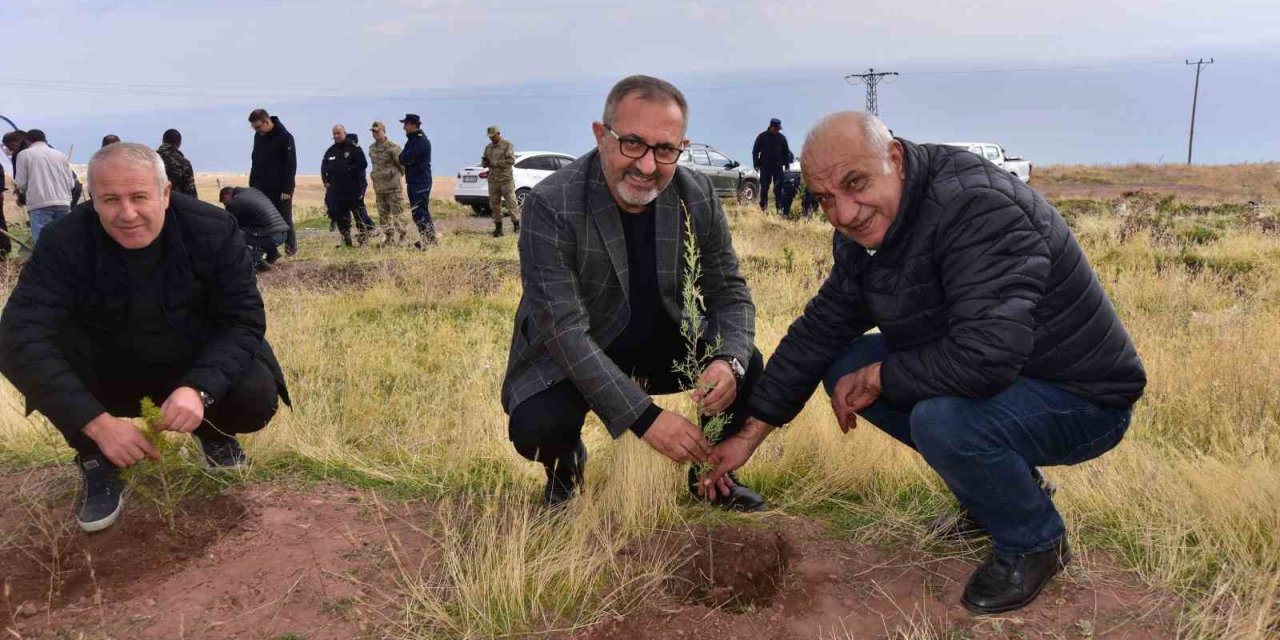 Ahlat’ta çam fidanları toprakla buluştu