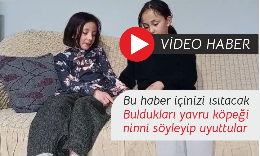 İnek otlatırken buldular, bu görüntüler yürekleri ısıttı