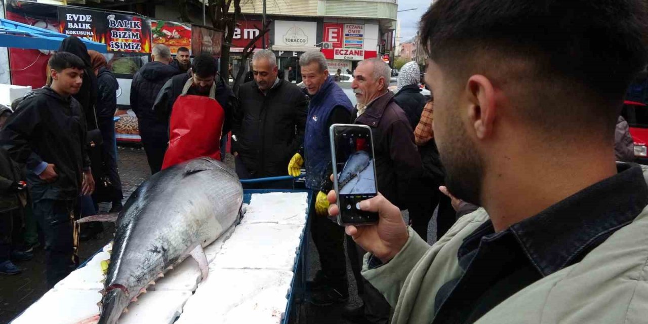 2 metreden büyük orkinosu görenler telefona sarıldı