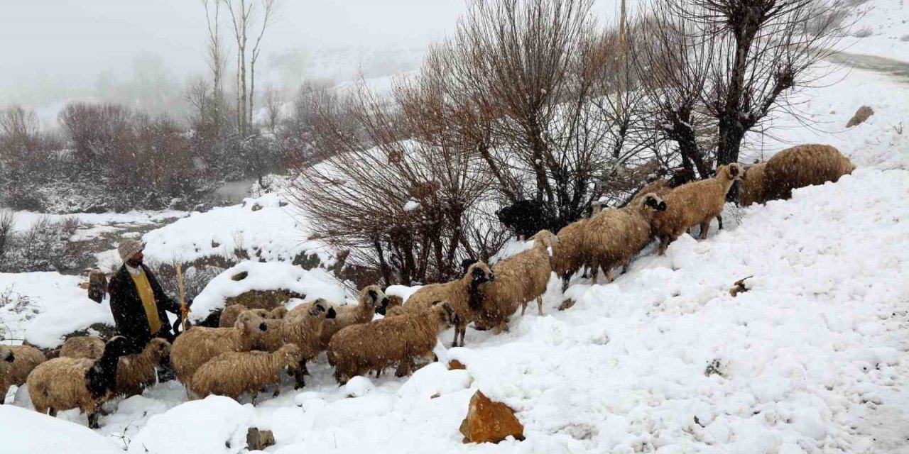 Yaylalardan indirilmeye başlanan koyun sürüsü kar, tipiye yakalandı