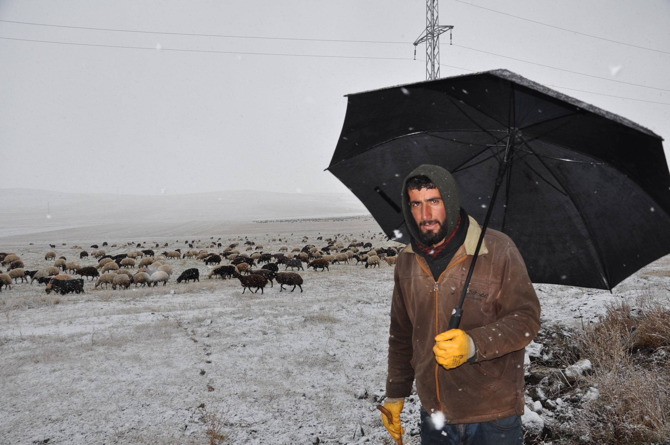 Kars'ta etkili olan kar, göçerlere zor anlar yaşattı