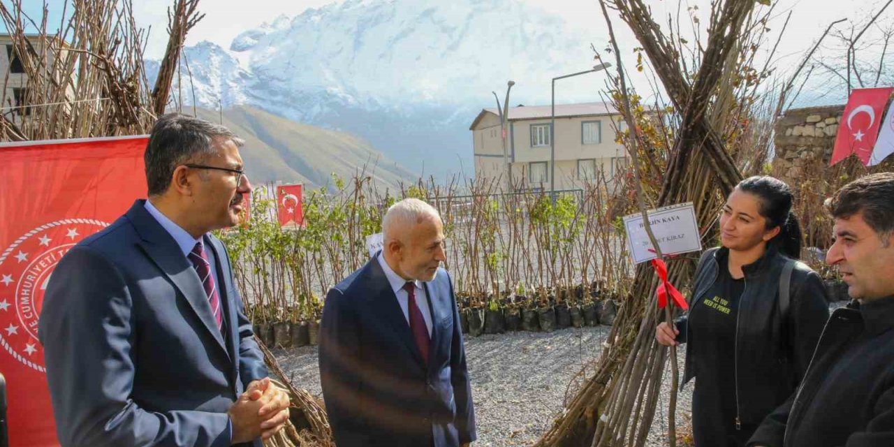 Hakkari’de 31 bin 460 meyve fidanı dağıtıldı