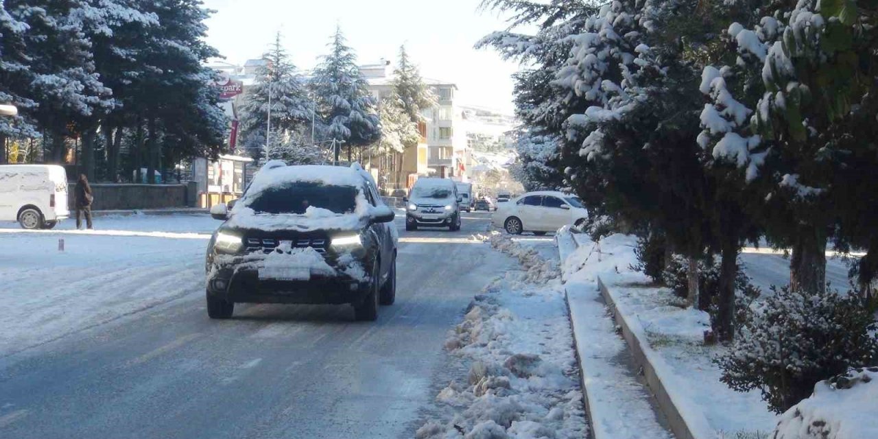 Kar yağışı Ahlat’ı beyaza bürüdü