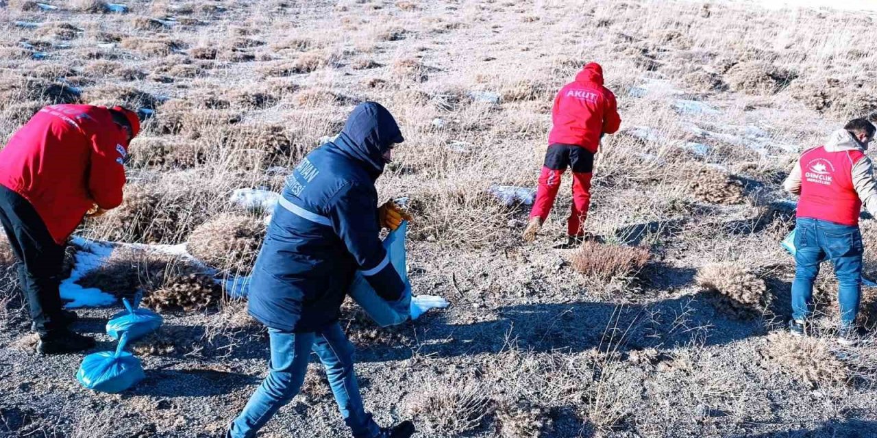 Nemrut Kalderası’ndaki yaban hayvanları için yem bırakıldı