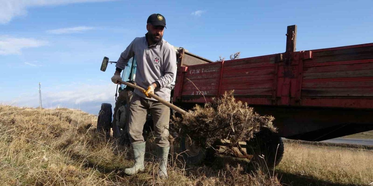 Tatvan’da kışlık yakacak mesaisi