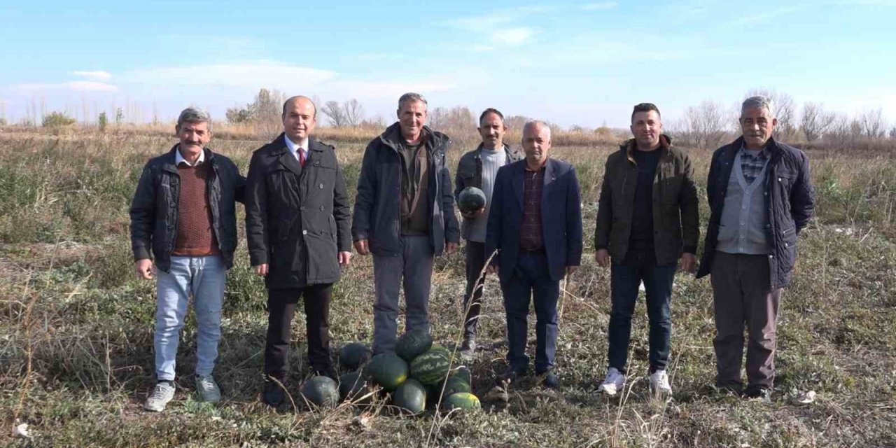 Iğdır’da karpuz hasadı