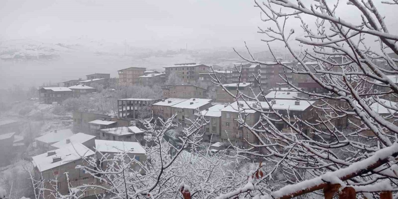 Hakkari’de kar yağışı ve sis