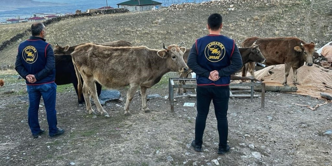 Iğdır’da çalınan hayvanlar bulunarak sahibine teslim edildi