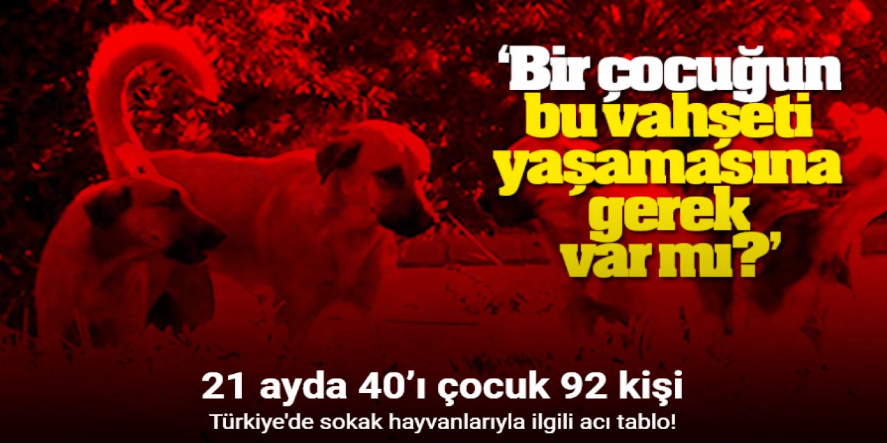 21 ayda 40’ı çocuk 92 kişi hayatını kaybetti