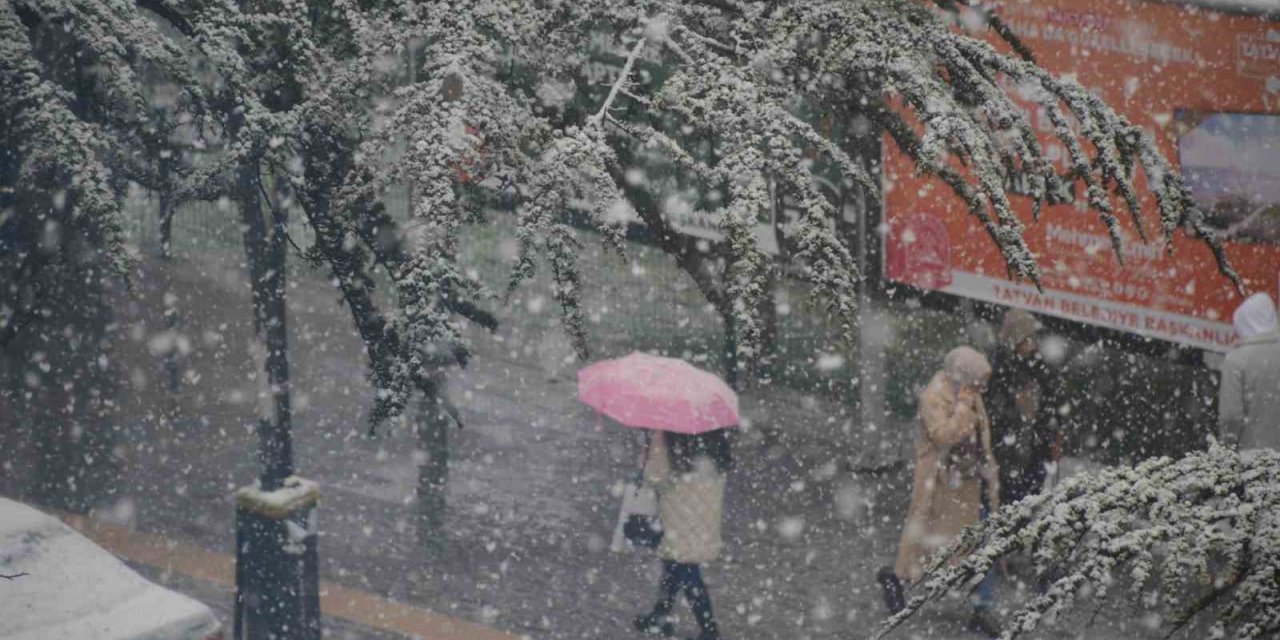 Bitlis’te yoğun kar yağışı başladı