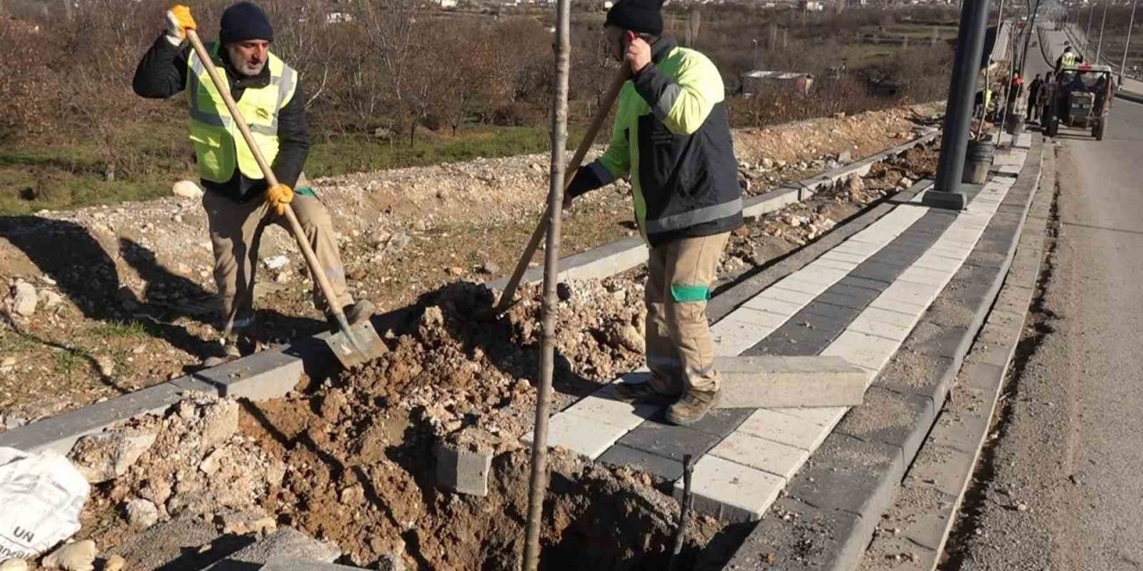 Kuzey kuşak yolunda çevre düzenleme çalışmaları