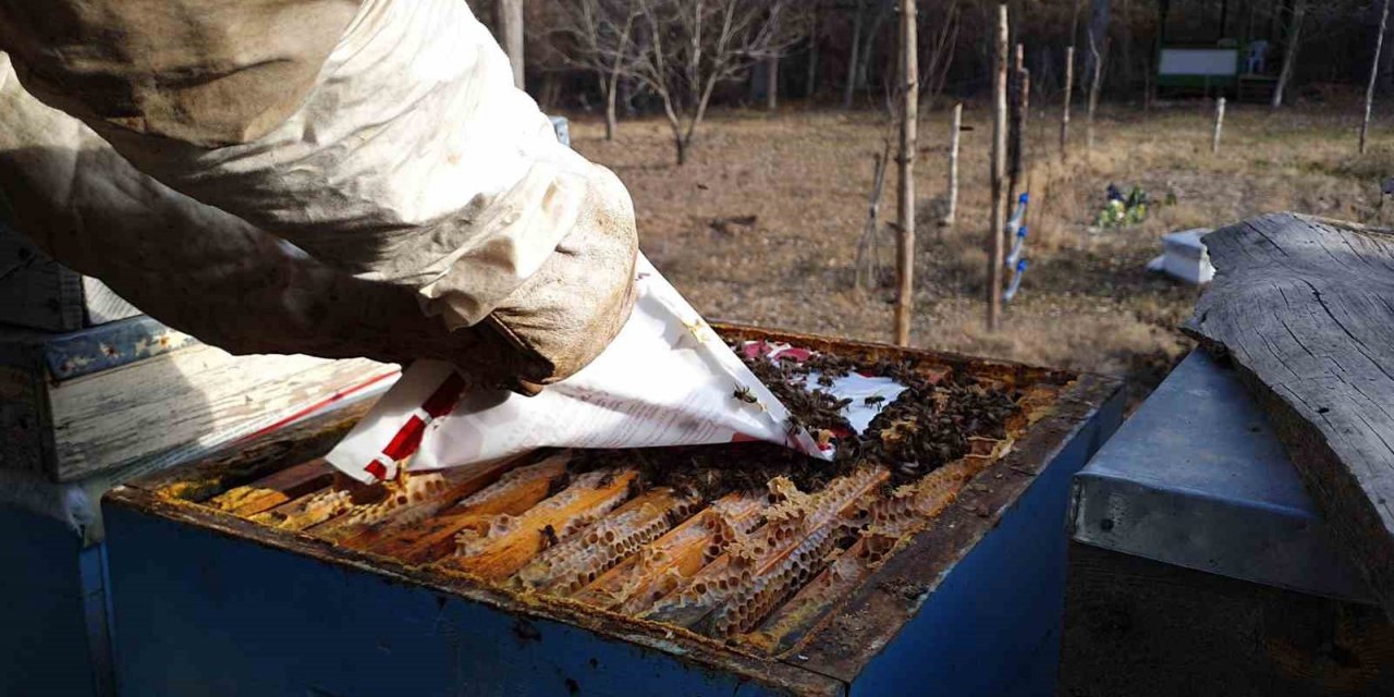 Arıcılar kara kışın ortasında arılara bakım ve yemleme yapıyor