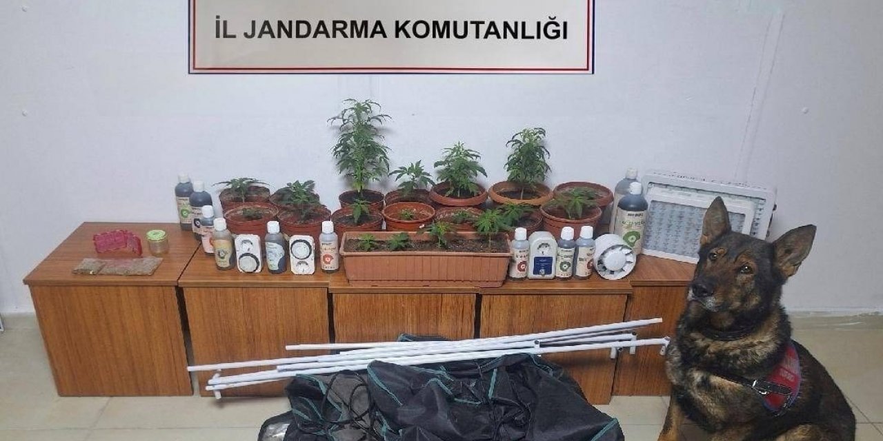 Erzincan’da jandarma ekipleri suç ve suçluya geçit vermiyor