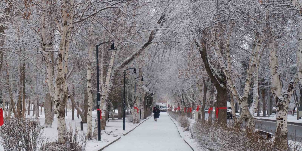 Erzurum’da kar yağışı şehri beyaza bürüdü