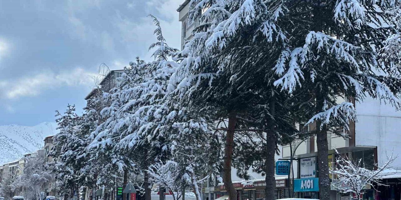 Tatvan’da araçlar kara gömüldü