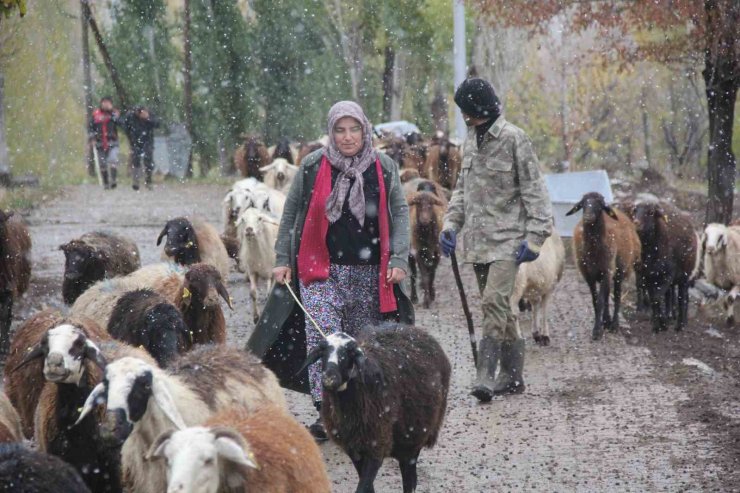 Tarım Bakanlığı'ndan Kars'a destek!