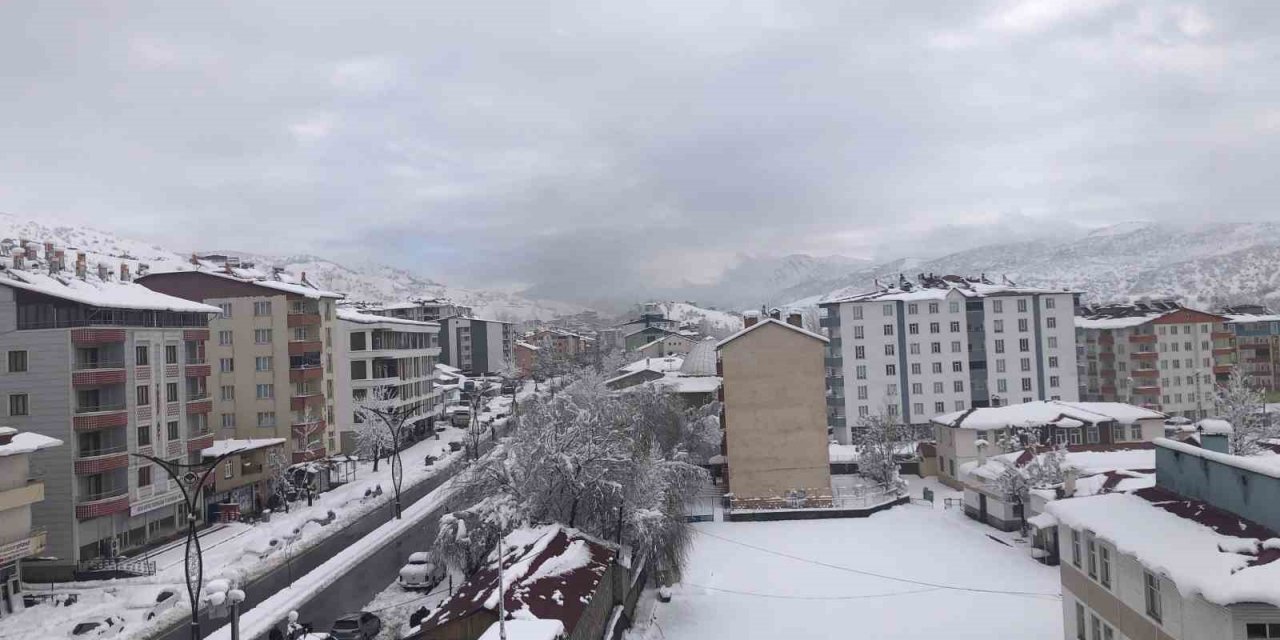 Hizan’da araçlar kara gömüldü