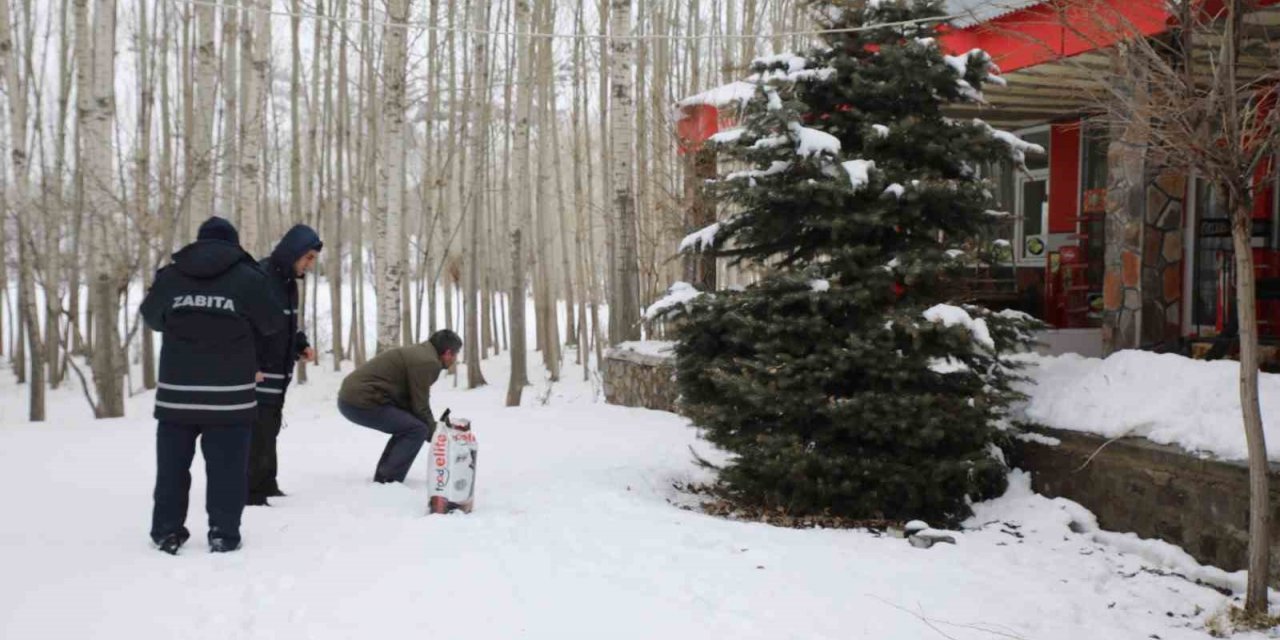 Muradiye Belediyesi sokak hayvanları için mama bıraktı