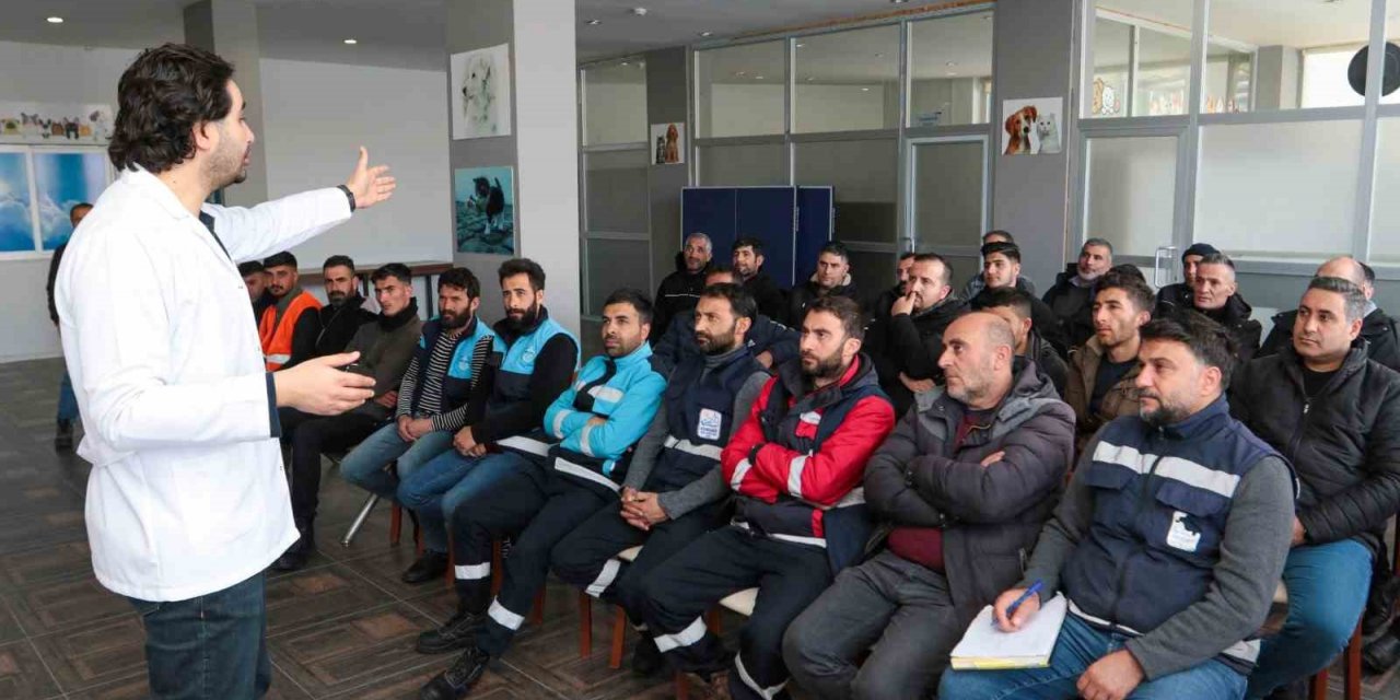 Belediyeler sokak hayvanları için toplandı