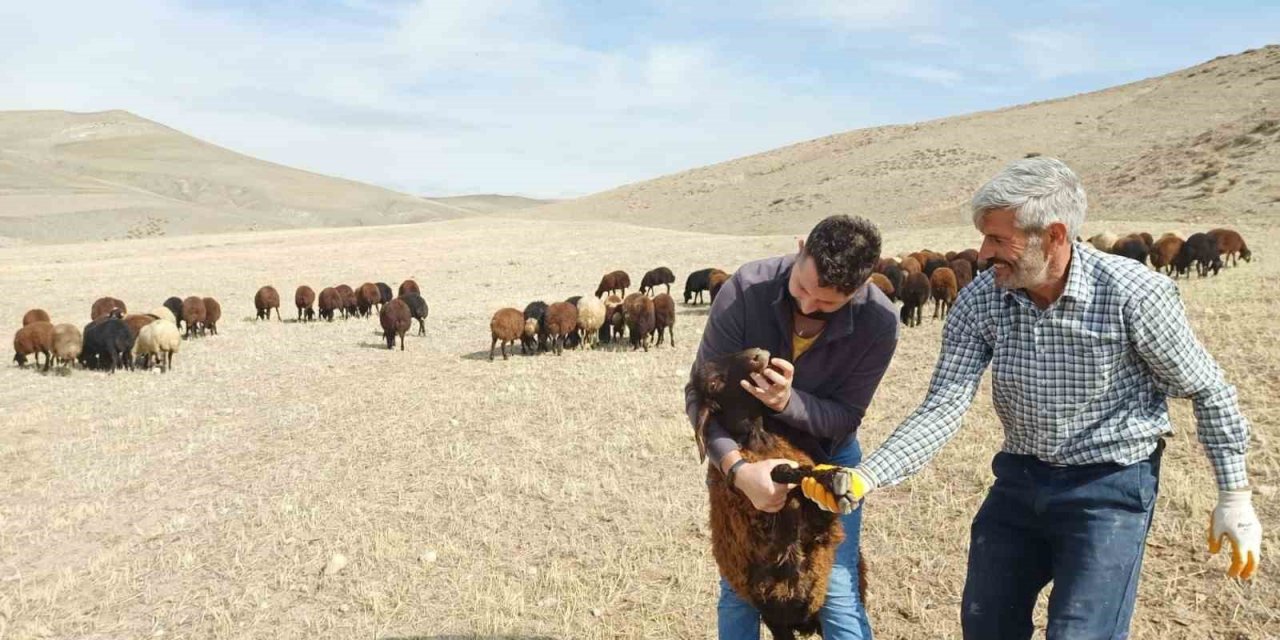 “Köyümde Yaşamak İçin Bir Sürü Nedenim Var”  projesi yeniden başladı