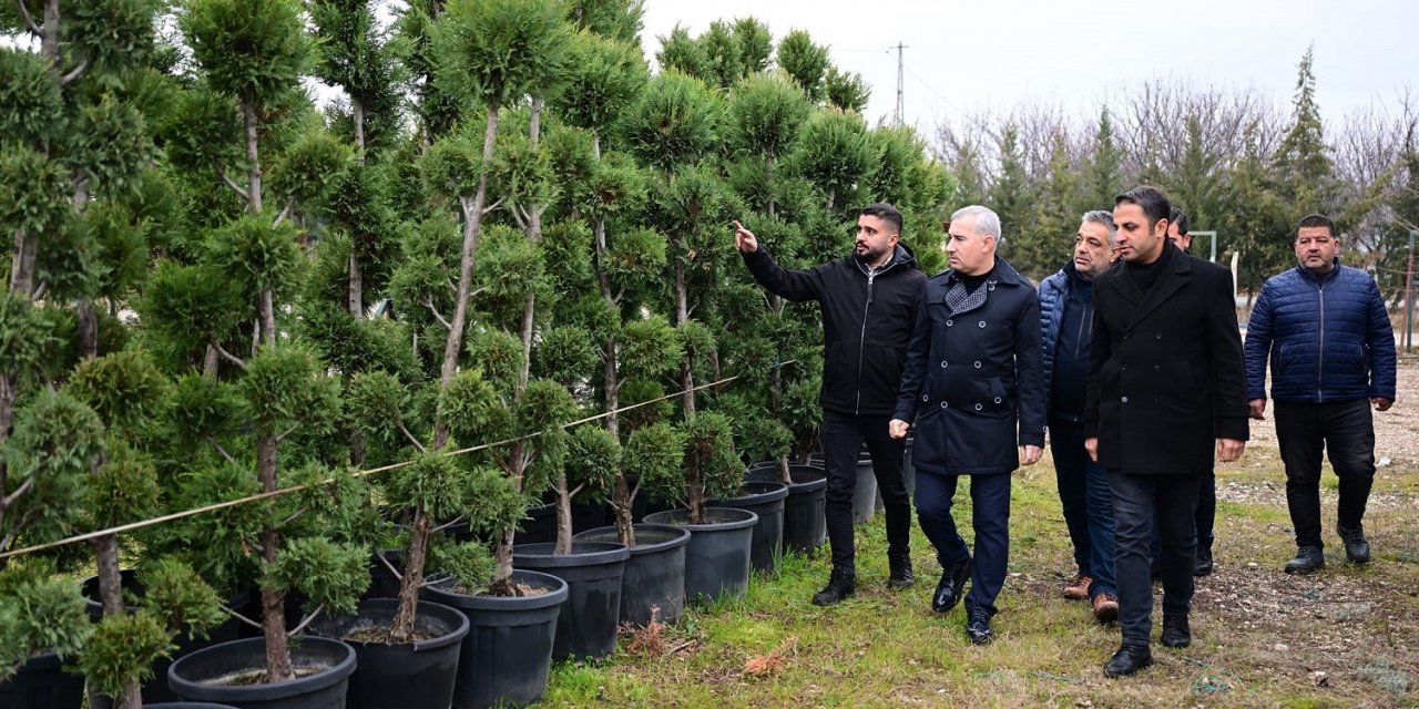 Yeşilyurt Belediyesi fidanlık alanı, Yeşilyurt’a nefes oluyor