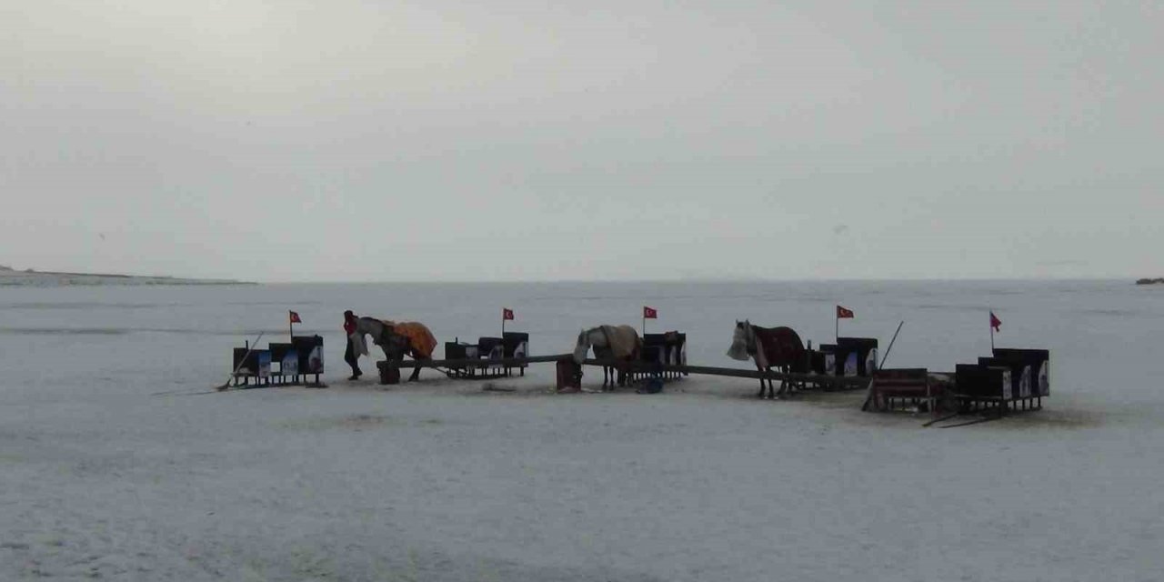 Çıldır’da kızak atlarına battaniyeli koruma