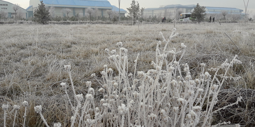 Kars’ta, soğuktan sis ve kırağı oluştu