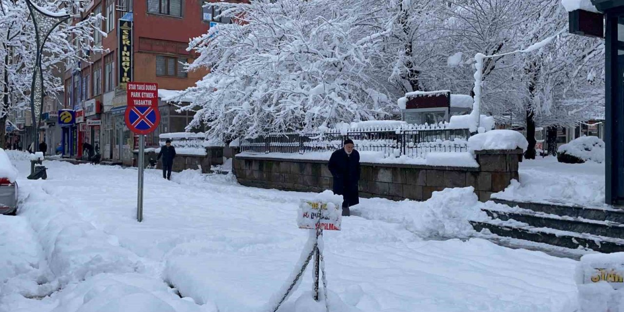 Tatvan’da kar yağışı