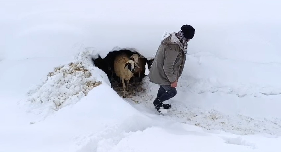 Bahçesaray’da kar etkili oluyor