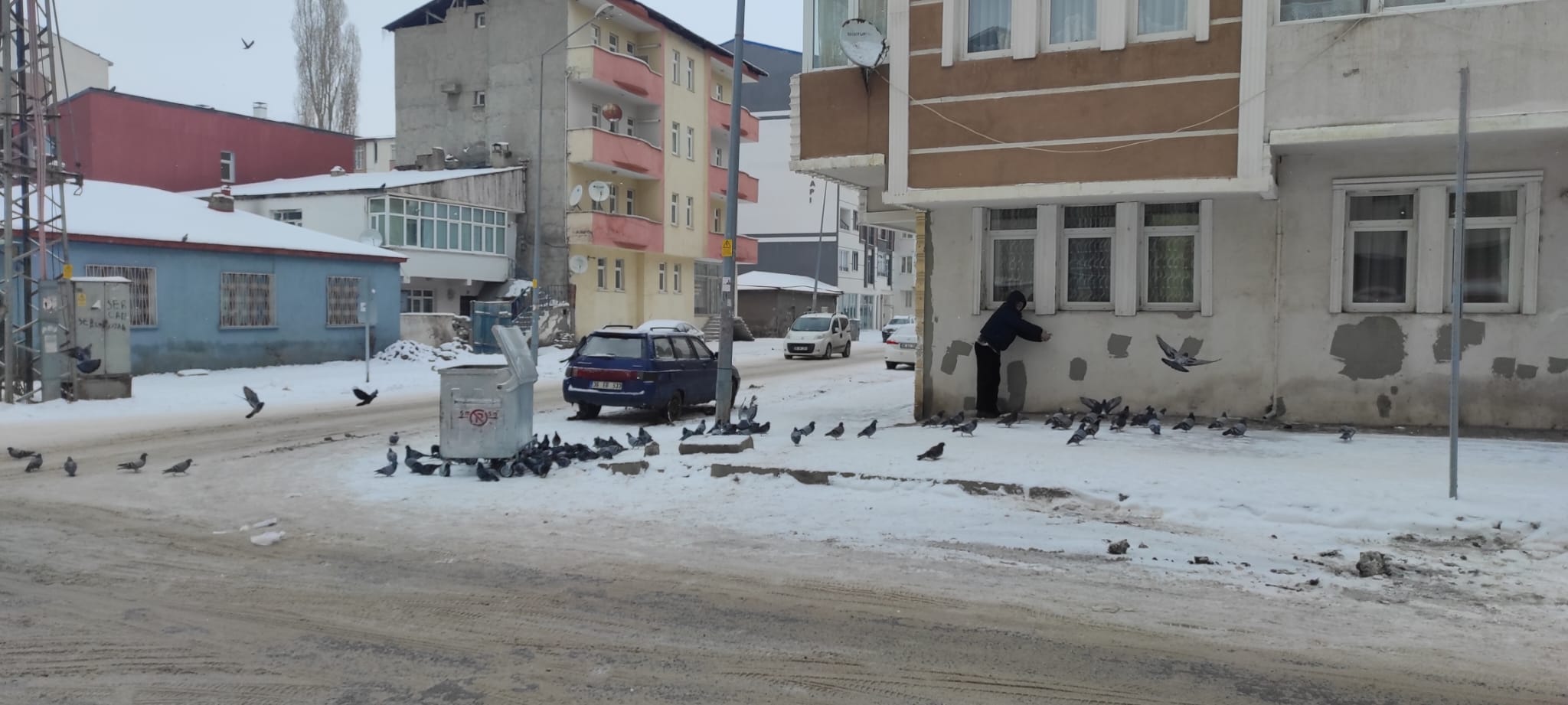 Kars’ta aç kalan güvercinlere vatandaşlar sahip çıktı