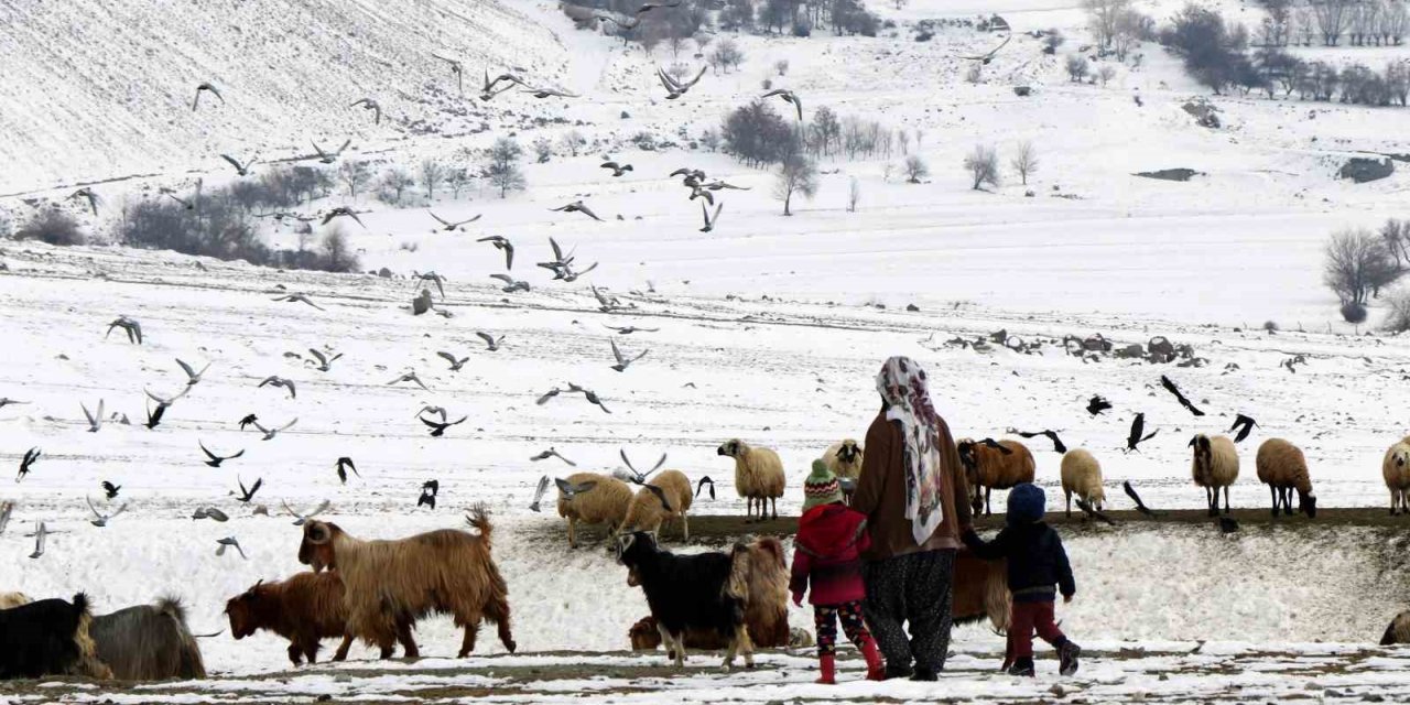 Erzincan’da “Köyümde Yaşamak İçin Bir Sürü Nedenim Var" projesi ile 179 üretici hayvan varlığını artırdı