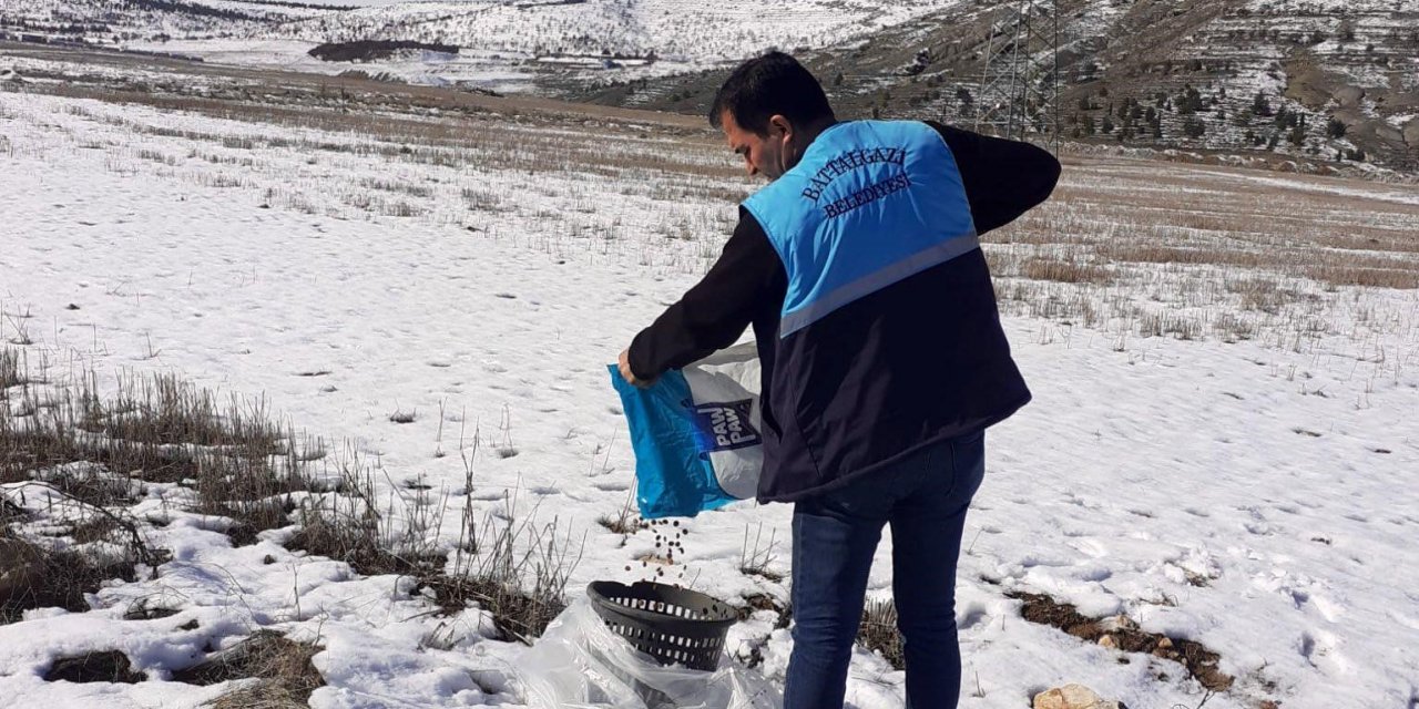 Battalgazi’de sokak hayvanlara yem bırakıldı