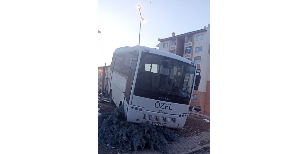 Freni patlayan midibüs kaldırıma çarpıp ağacı devirerek durabildi