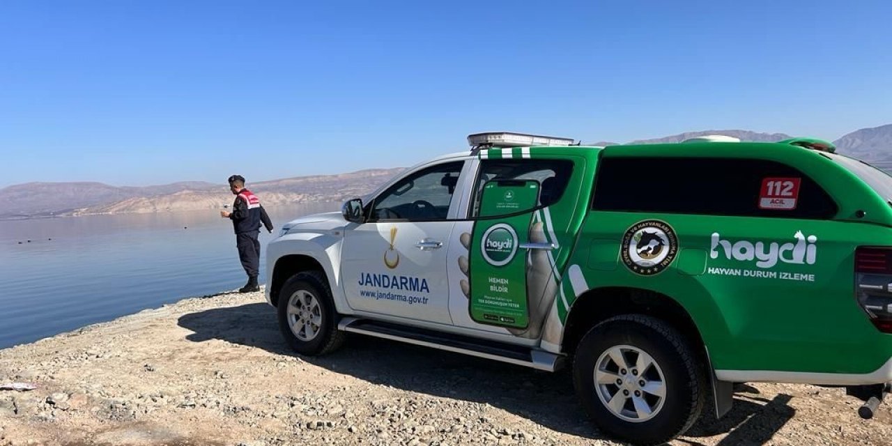 Malatya’da jandarma yabani kuşlar için doğaya yem bıraktı