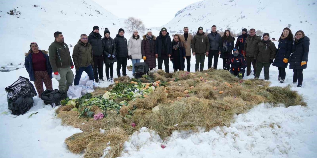 Vali Çakır, yaban hayvanları için karlı dağlara yem bıraktı