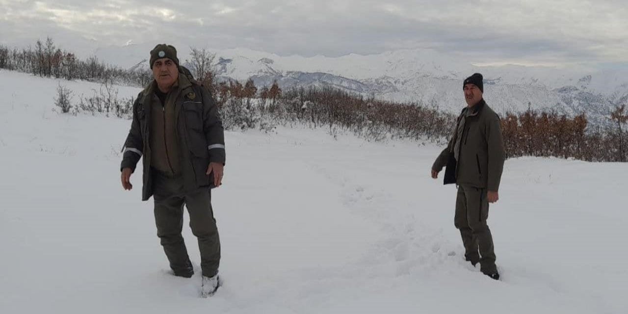 Elazığ’da yasa dışı avcılık yapan bir kişiye idari işlem uygulandı