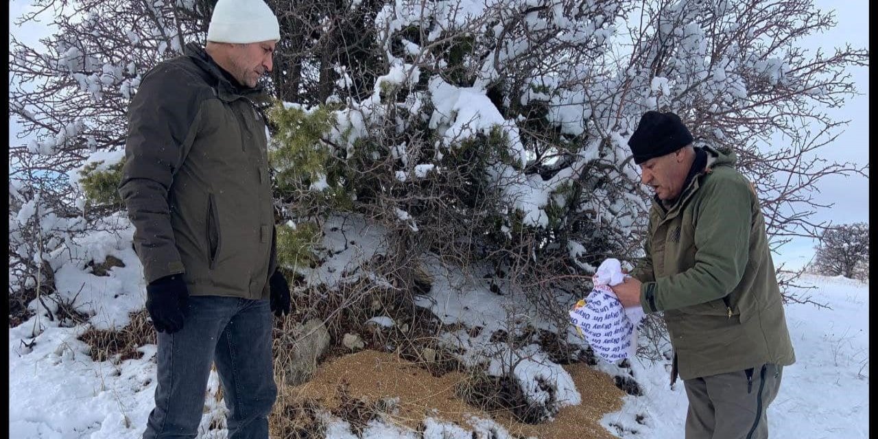 Elazığ’da yaban hayvanları unutulmadı: Doğaya 300 kilo yem bırakıldı