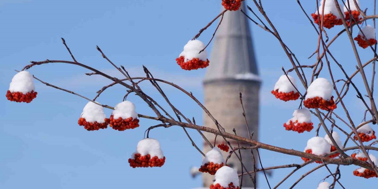 Erzurum hafta sonuna kadar kar yağışı bekleniyor