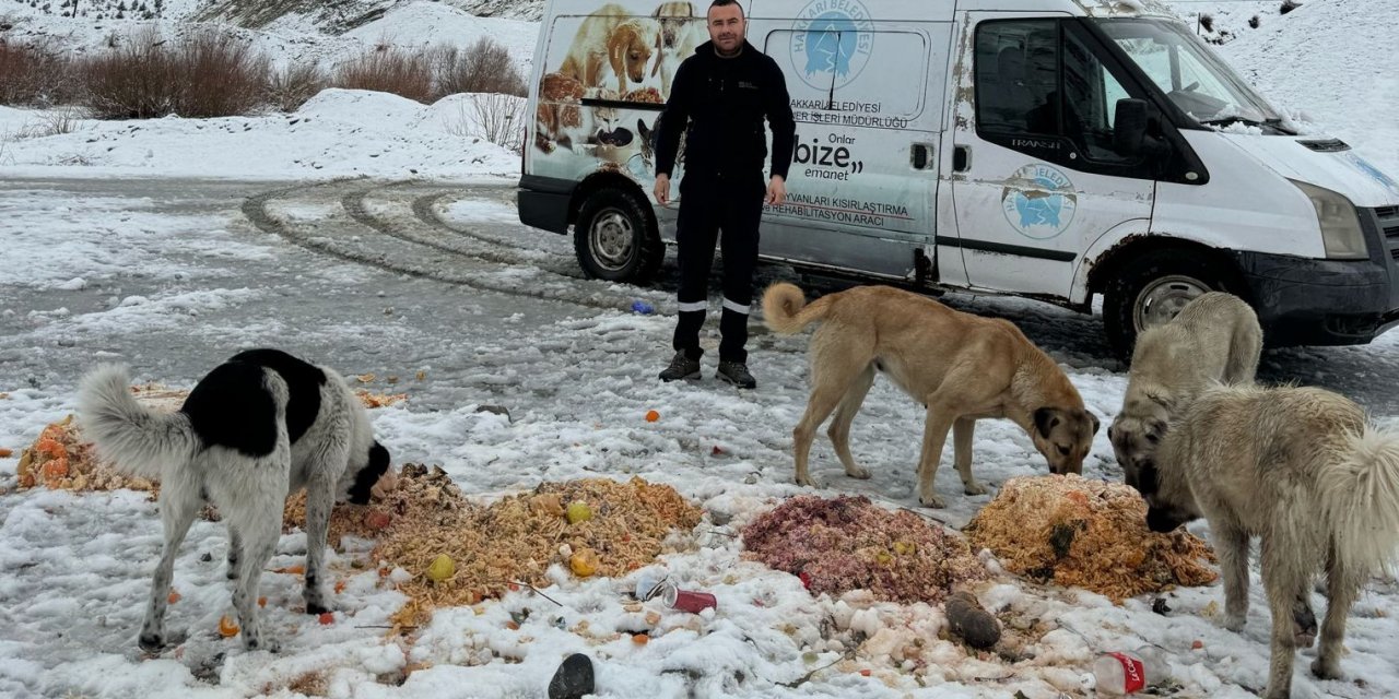 Hakkari’de sokak hayvanlarına yiyecek bırakıldı